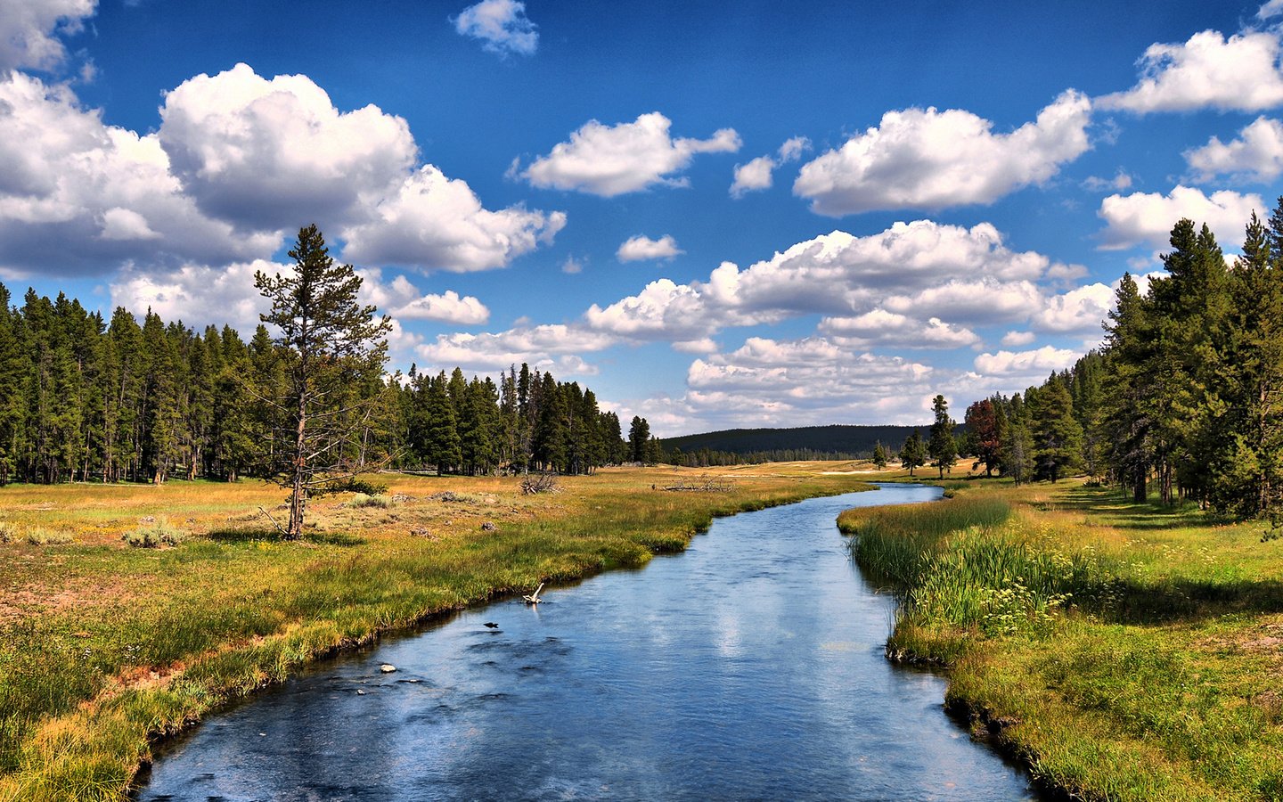 Обои небо, облака, деревья, река, лес, the sky, clouds, trees, river, forest разрешение 1920x1080 Загрузить