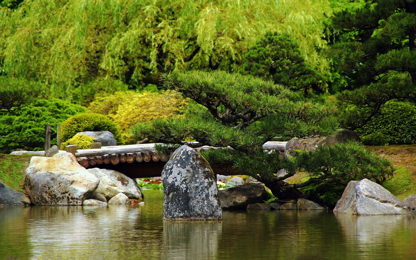 Обои деревья, мост, япония, камень, японский сад, trees, bridge, japan, stone, japanese garden разрешение 2560x1600 Загрузить
