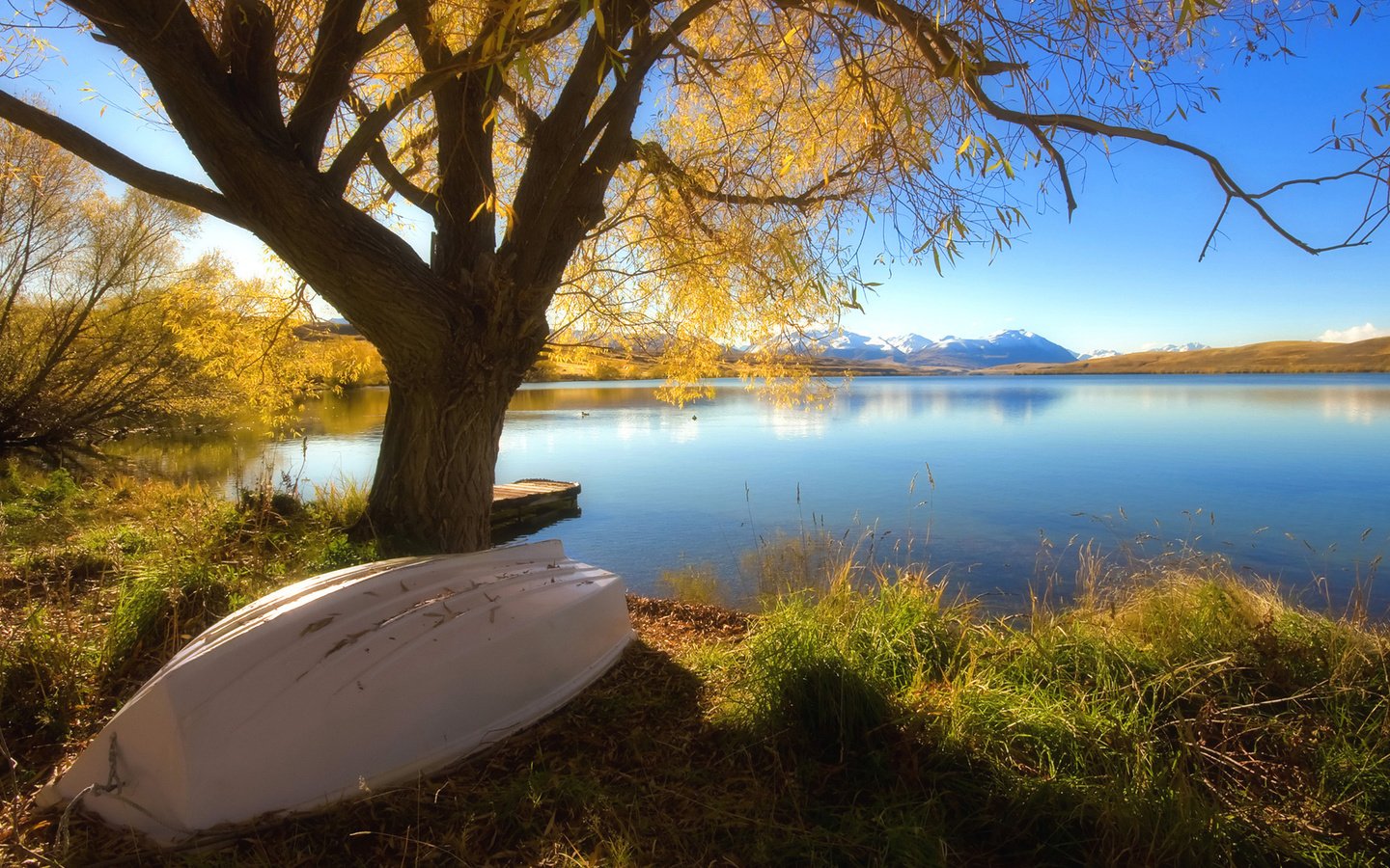 Обои озеро, дерево, осень, лодка, lake, tree, autumn, boat разрешение 1920x1080 Загрузить