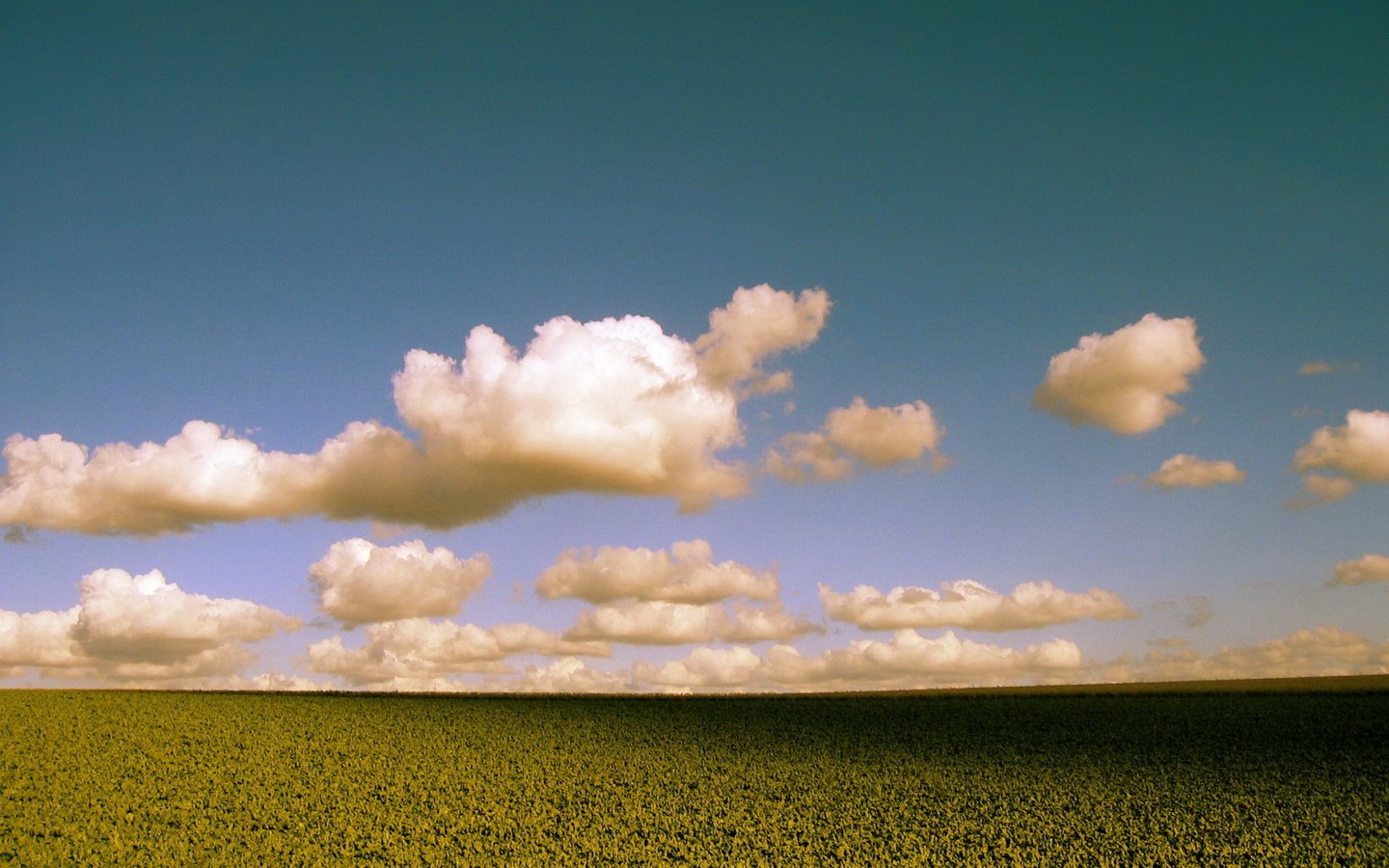 Обои небо, облака, поле, горизонт, the sky, clouds, field, horizon разрешение 1920x1440 Загрузить