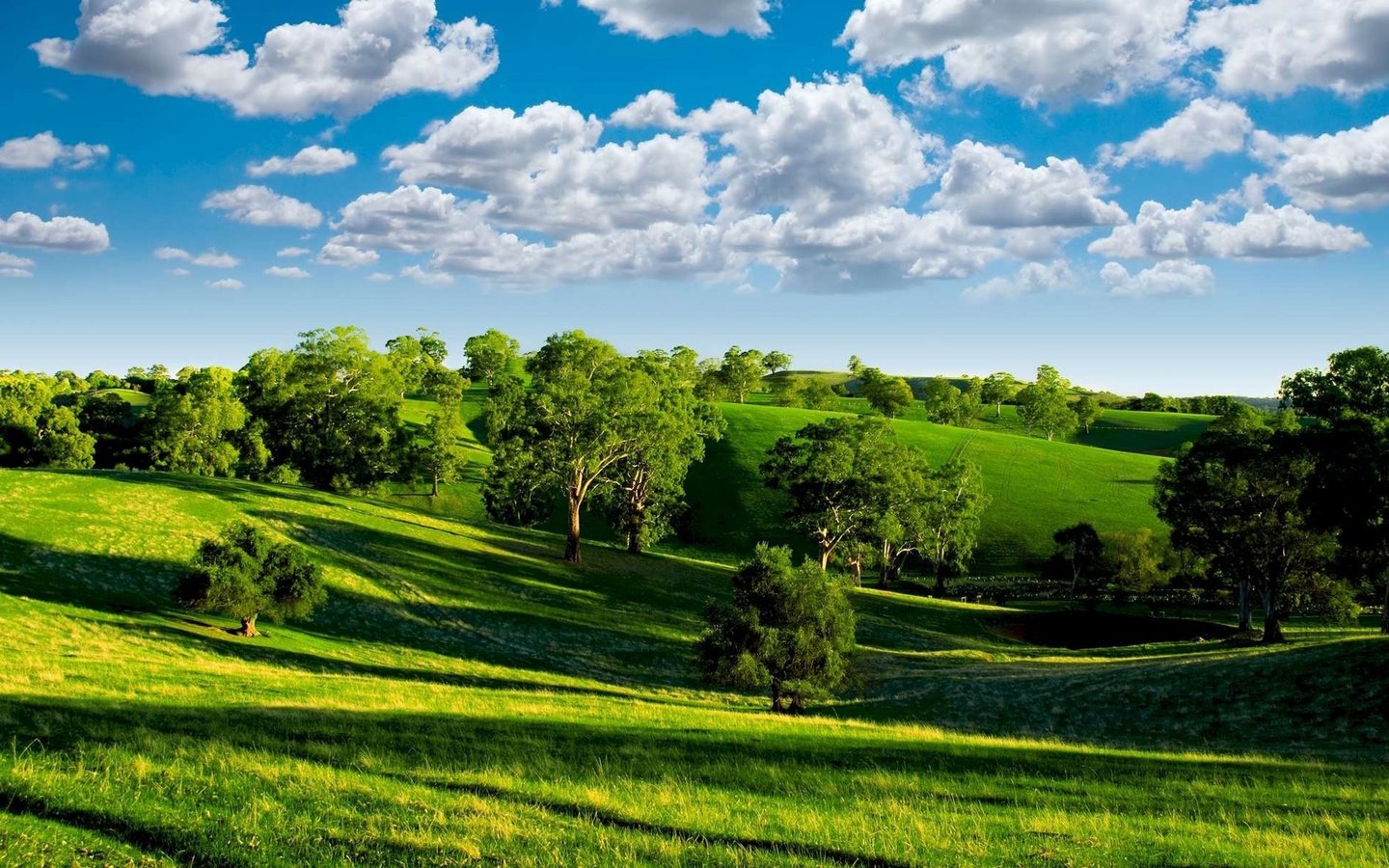 Обои небо, луга, облака, деревья, холмы, зелень, пейзаж, лето, тени, the sky, meadows, clouds, trees, hills, greens, landscape, summer, shadows разрешение 1920x1200 Загрузить