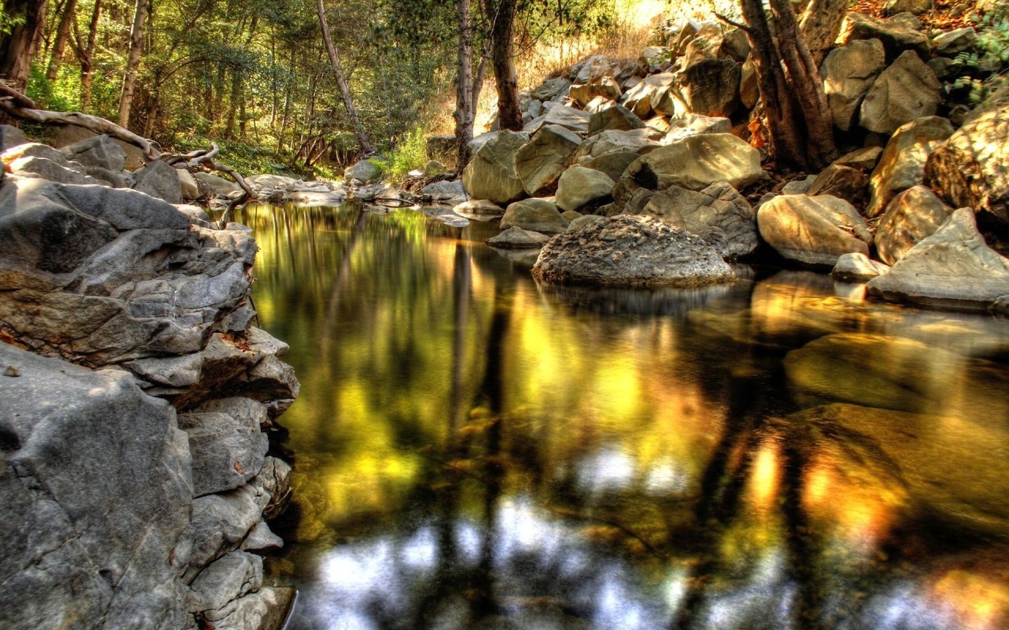 Обои озеро, камни, отражение, парк, lake, stones, reflection, park разрешение 1920x1200 Загрузить