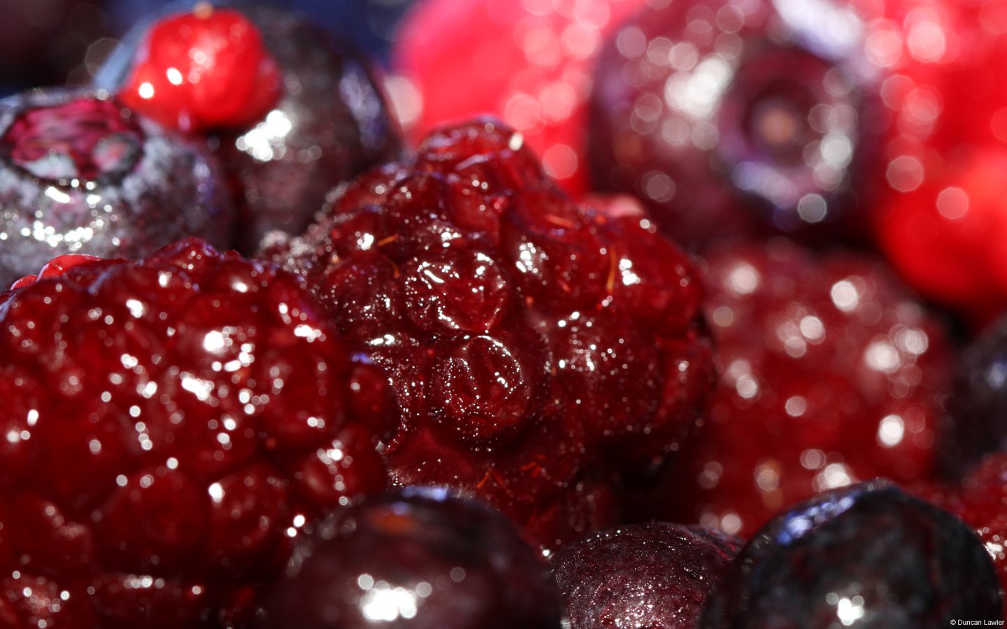 Обои макро, малина, ягоды, вишня, macro, raspberry, berries, cherry разрешение 1920x1200 Загрузить