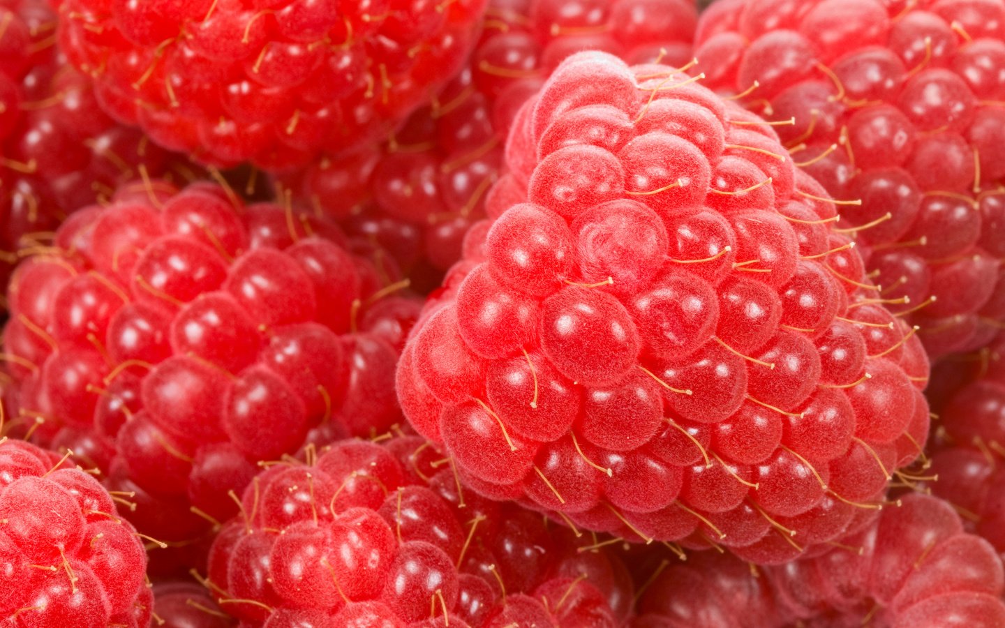 Обои макро, малина, ягода, спелая, красная малинка, macro, raspberry, berry, ripe, red raspberry разрешение 1920x1252 Загрузить
