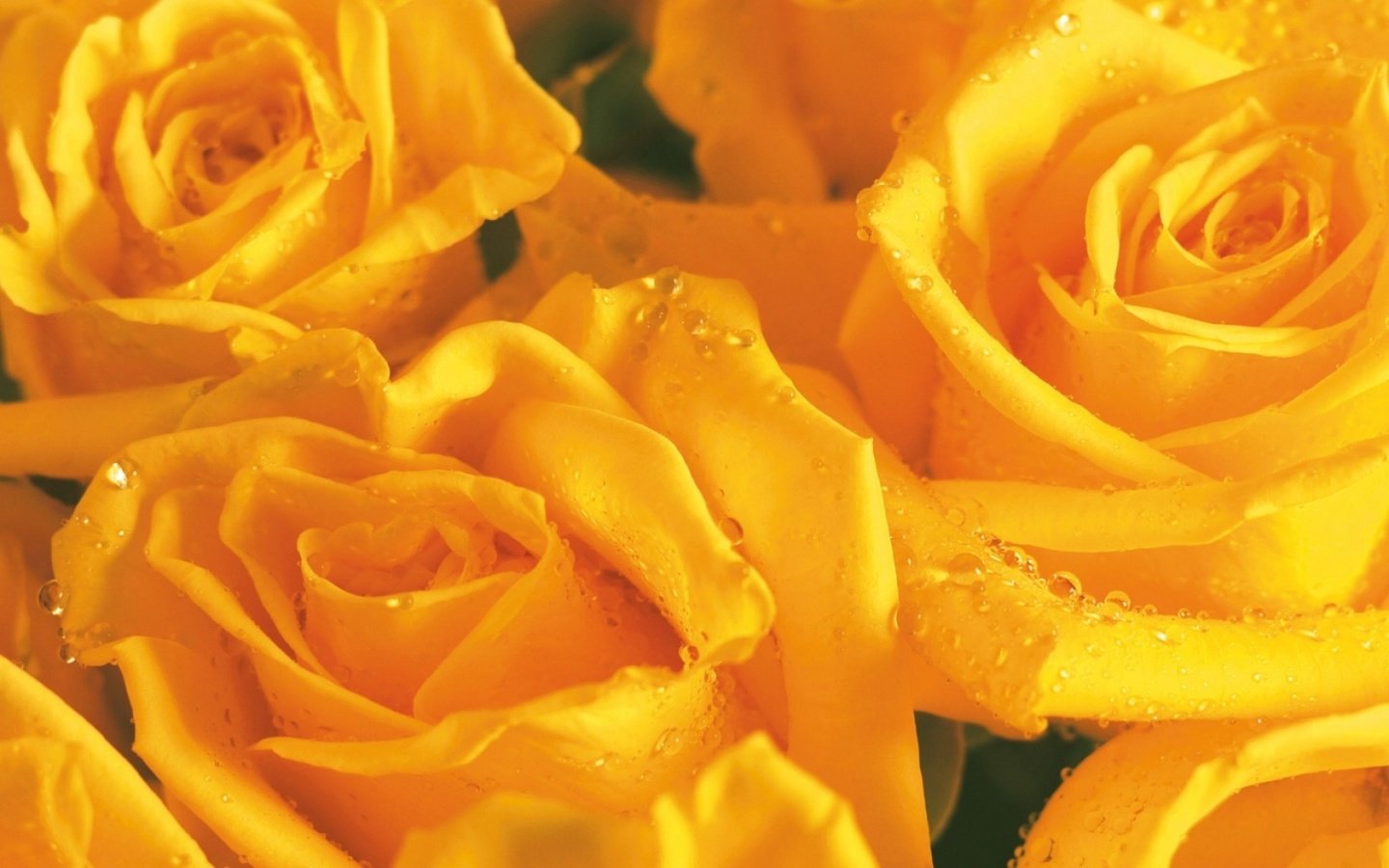 Обои бутон, букет цветов, желтая роза, букет роз, bud, a bouquet of flowers, yellow rose, a bouquet of roses разрешение 1920x1200 Загрузить