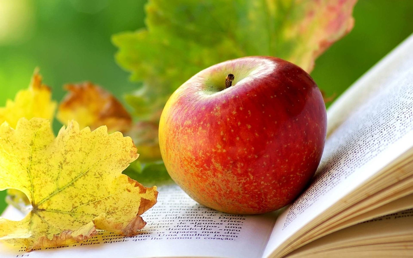 Обои листья, яблоко, книга, leaves, apple, book разрешение 1920x1200 Загрузить