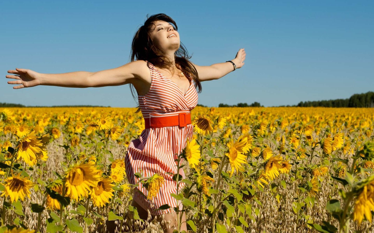 Обои девушка, поле, радость, подсолнухи, girl, field, joy, sunflowers разрешение 1920x1200 Загрузить