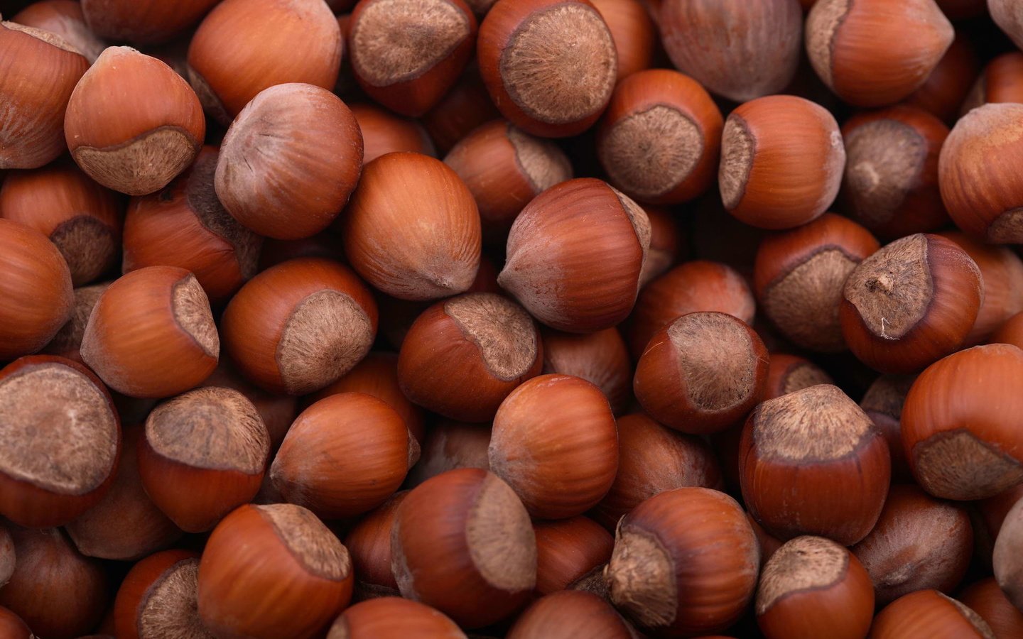 Обои орехи, фундук, nuts, hazelnuts разрешение 1920x1280 Загрузить