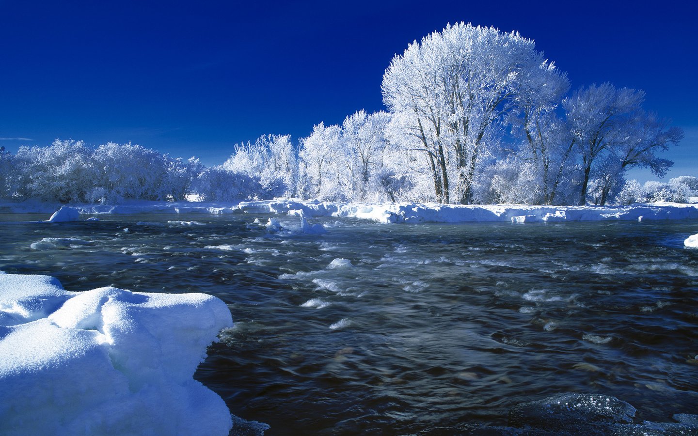 Обои деревья, река, снег, зима, trees, river, snow, winter разрешение 1920x1080 Загрузить