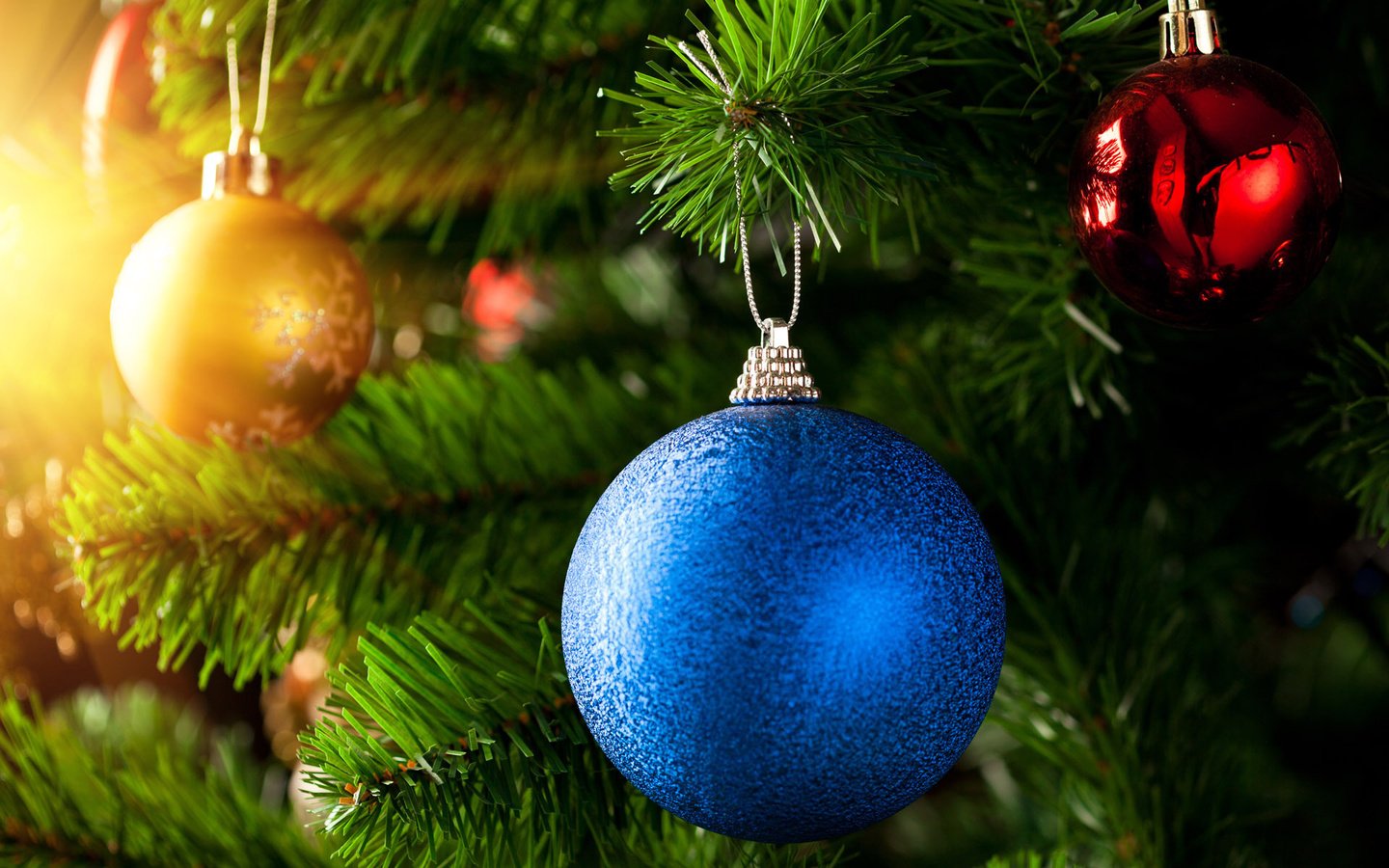 Обои новый год, елка, елочные игрушки, новогодние игрушки, новогодний шар, new year, tree, christmas decorations, christmas toys, christmas ball разрешение 1920x1200 Загрузить