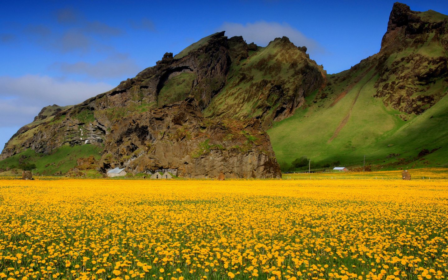 Обои небо, цветы, горы, поле, весна, одуванчики, долина, желтые, the sky, flowers, mountains, field, spring, dandelions, valley, yellow разрешение 2048x1388 Загрузить