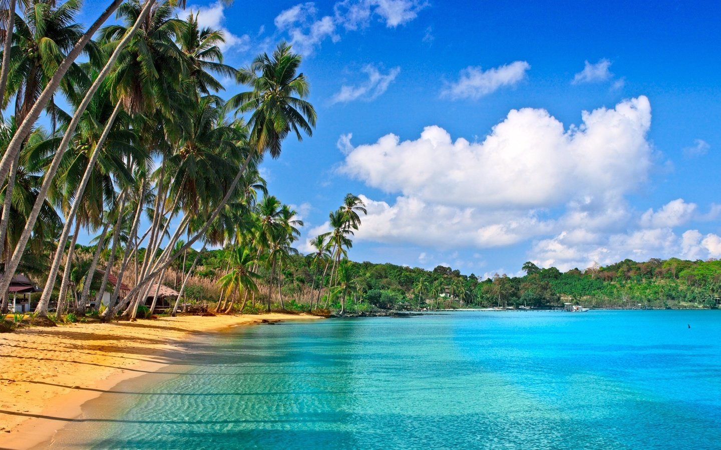 Обои песок, пляж, пальмы, тропики, sand, beach, palm trees, tropics разрешение 2612x1469 Загрузить