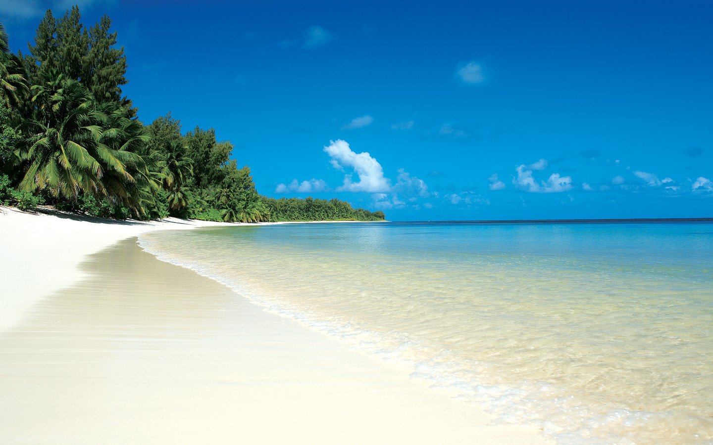 Обои песок, пляж, пальмы, sand, beach, palm trees разрешение 2205x1241 Загрузить