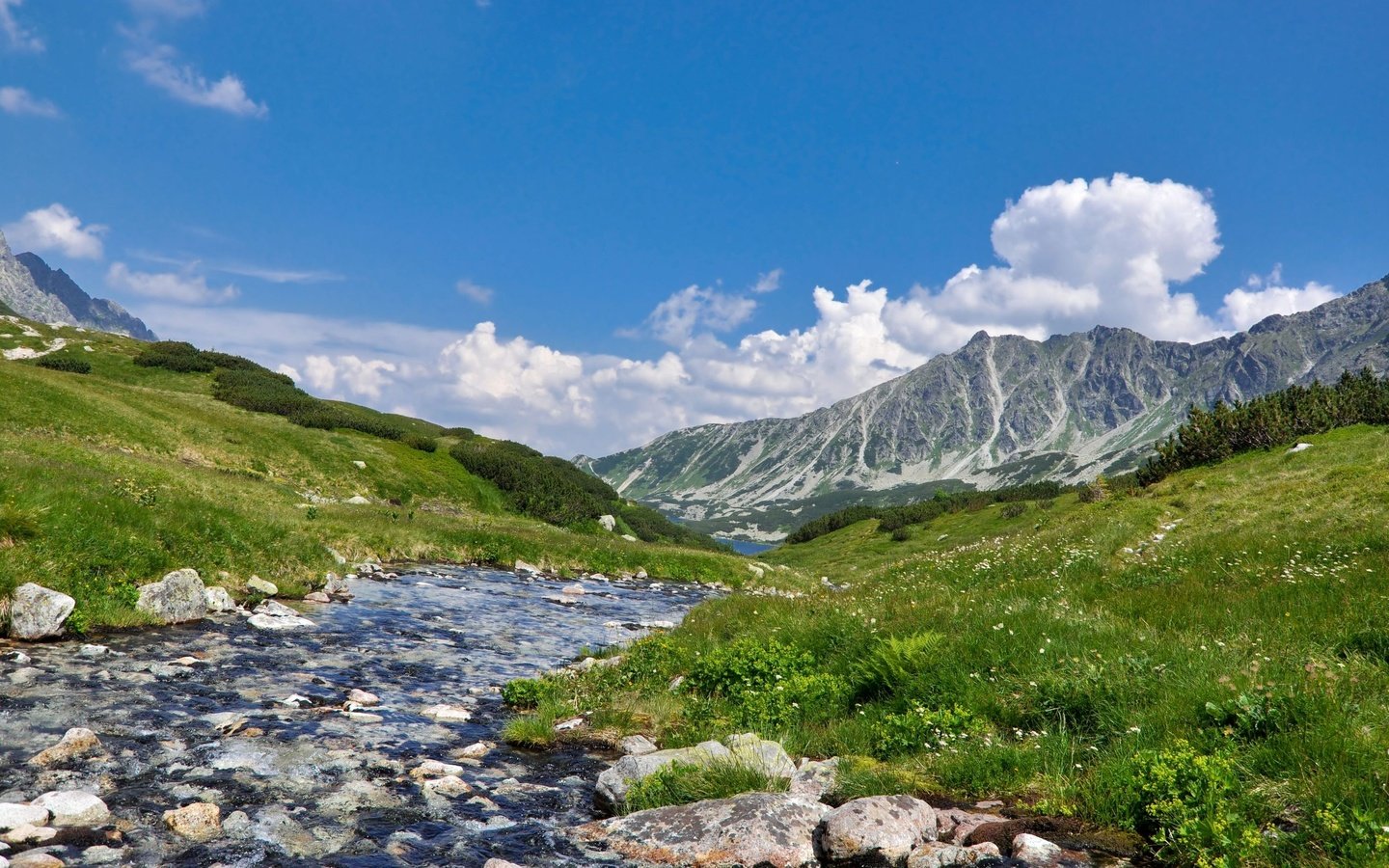 Обои река, горы, природа, пейзаж, scenery, ландшафт, на природе, higland river, river, mountains, nature, landscape разрешение 2560x1600 Загрузить