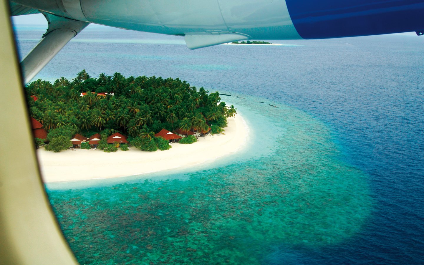 Обои пляж, пальмы, остров, тропики, мальдивы, beach, palm trees, island, tropics, the maldives разрешение 4288x2848 Загрузить