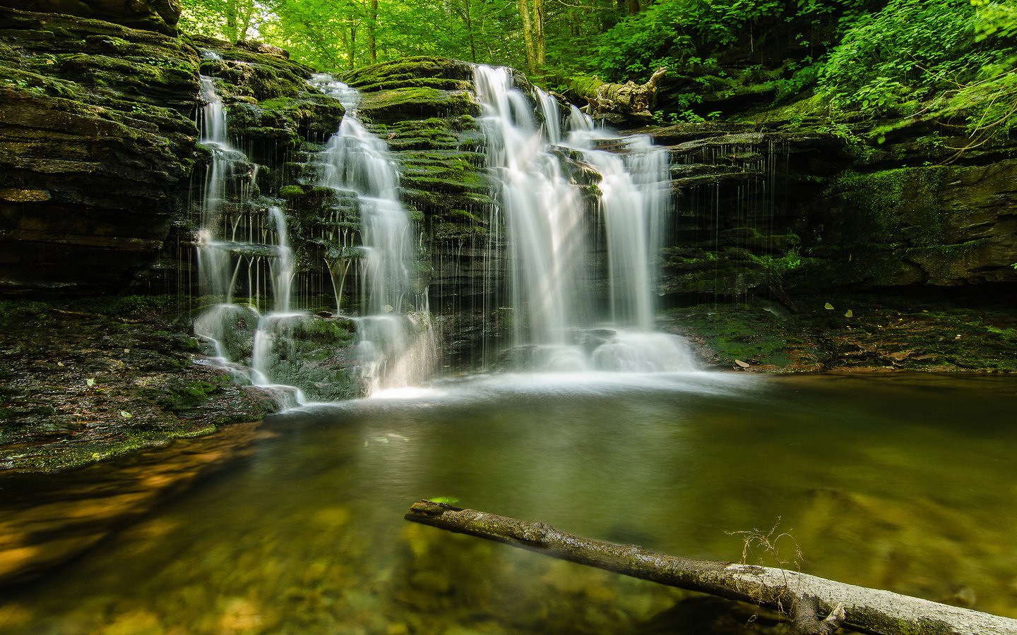 Обои природа, камни, лес, ручей, лето, водопад, мох, nature, stones, forest, stream, summer, waterfall, moss разрешение 2048x1356 Загрузить