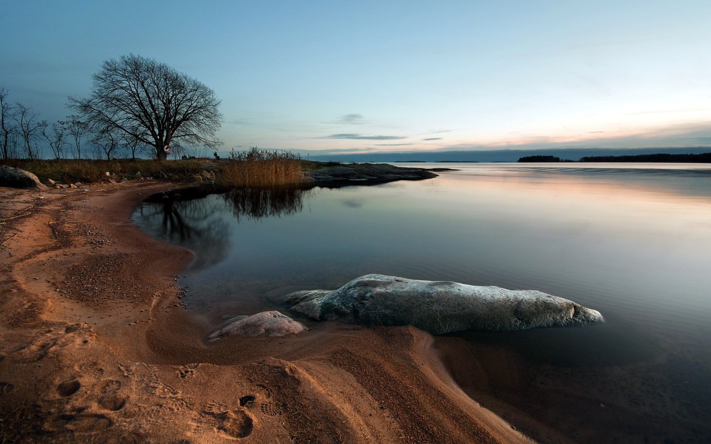 Обои деревья, река, берег, закат, море, песок, trees, river, shore, sunset, sea, sand разрешение 2560x1600 Загрузить