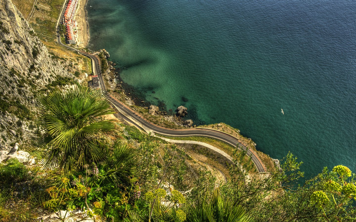 Обои дорога, природа, море, скала, побережье, пальмы, гибралтар, road, nature, sea, rock, coast, palm trees, gibraltar разрешение 1920x1200 Загрузить