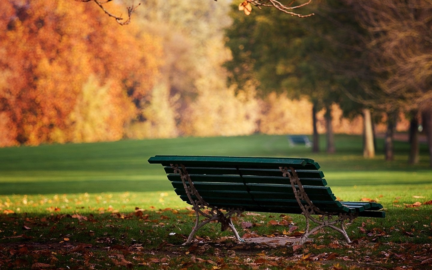 Обои природа, листья, парк, день, осень, скамейка, лавочка, солнышко, nature, leaves, park, day, autumn, bench, shop, the sun разрешение 1944x1295 Загрузить