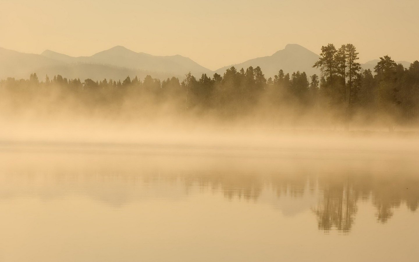 Обои деревья, вода, горы, природа, отражение, туман, trees, water, mountains, nature, reflection, fog разрешение 1920x1200 Загрузить