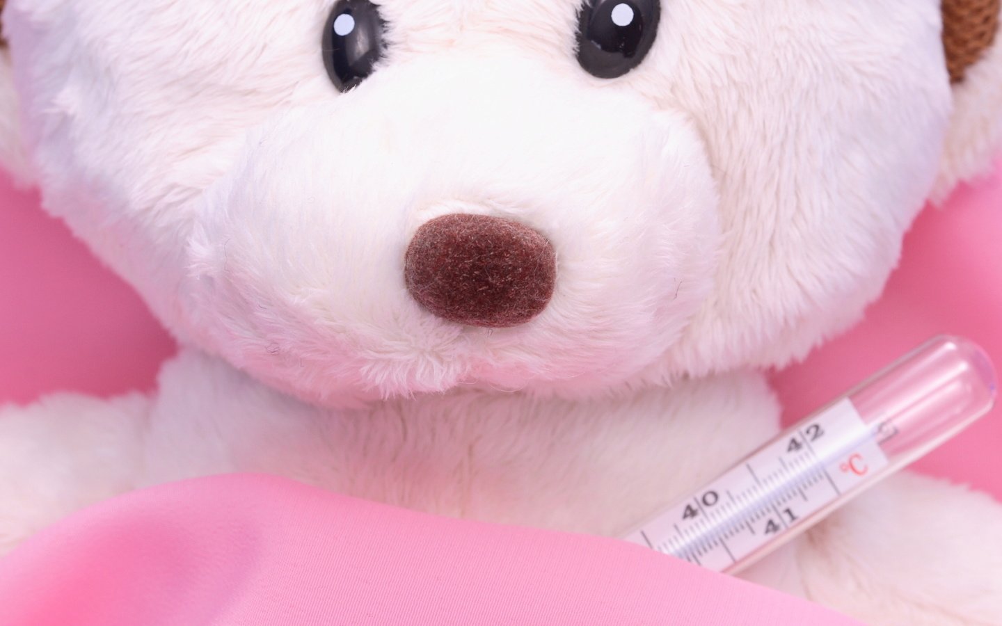 Обои игрушка, тедди, градусник, плюшевый мишка, плюшевый медведь, мягкая игрушка, toy, teddy, thermometer, teddy bear, soft toy разрешение 4368x1280 Загрузить
