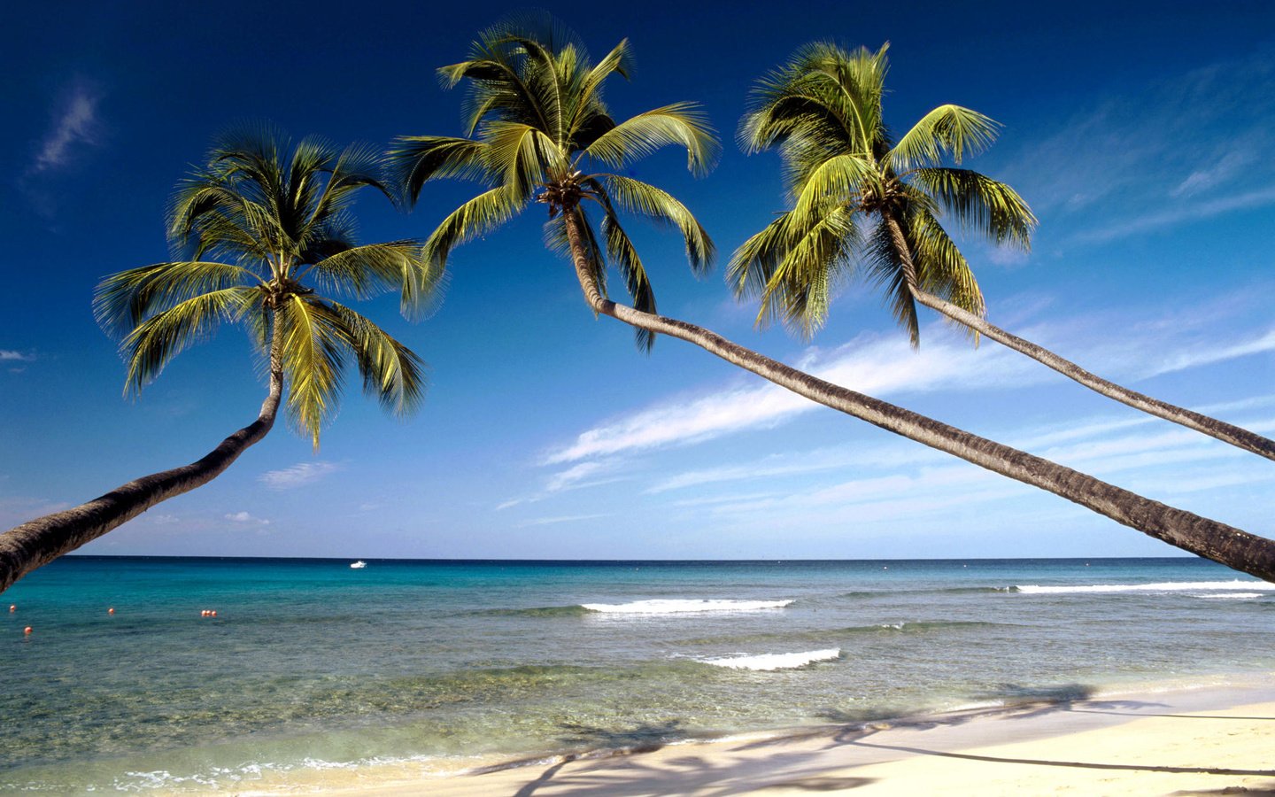 Обои пляж, тропики, beach, tropics разрешение 2000x1333 Загрузить