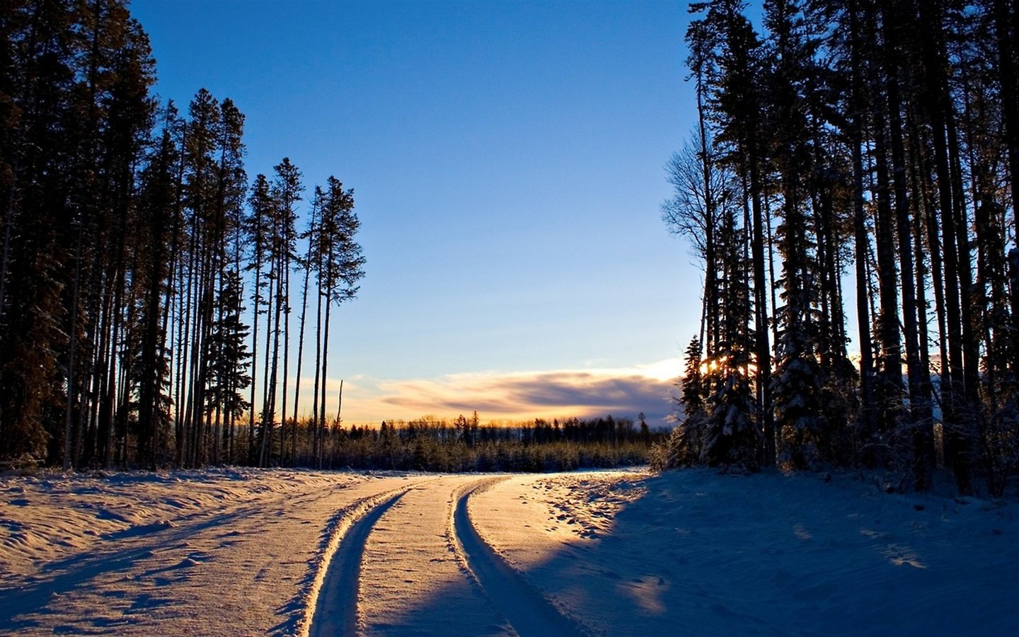 Обои дорога в зимнем лесу на закате, road in winter forest at sunset разрешение 2560x1440 Загрузить