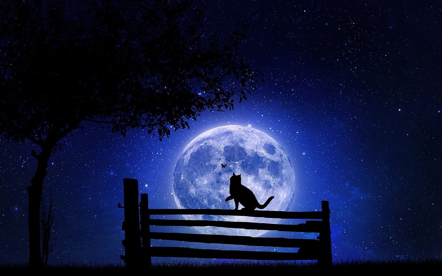 Обои кот на фоне луны, cat on the moon разрешение 1920x1080 Загрузить