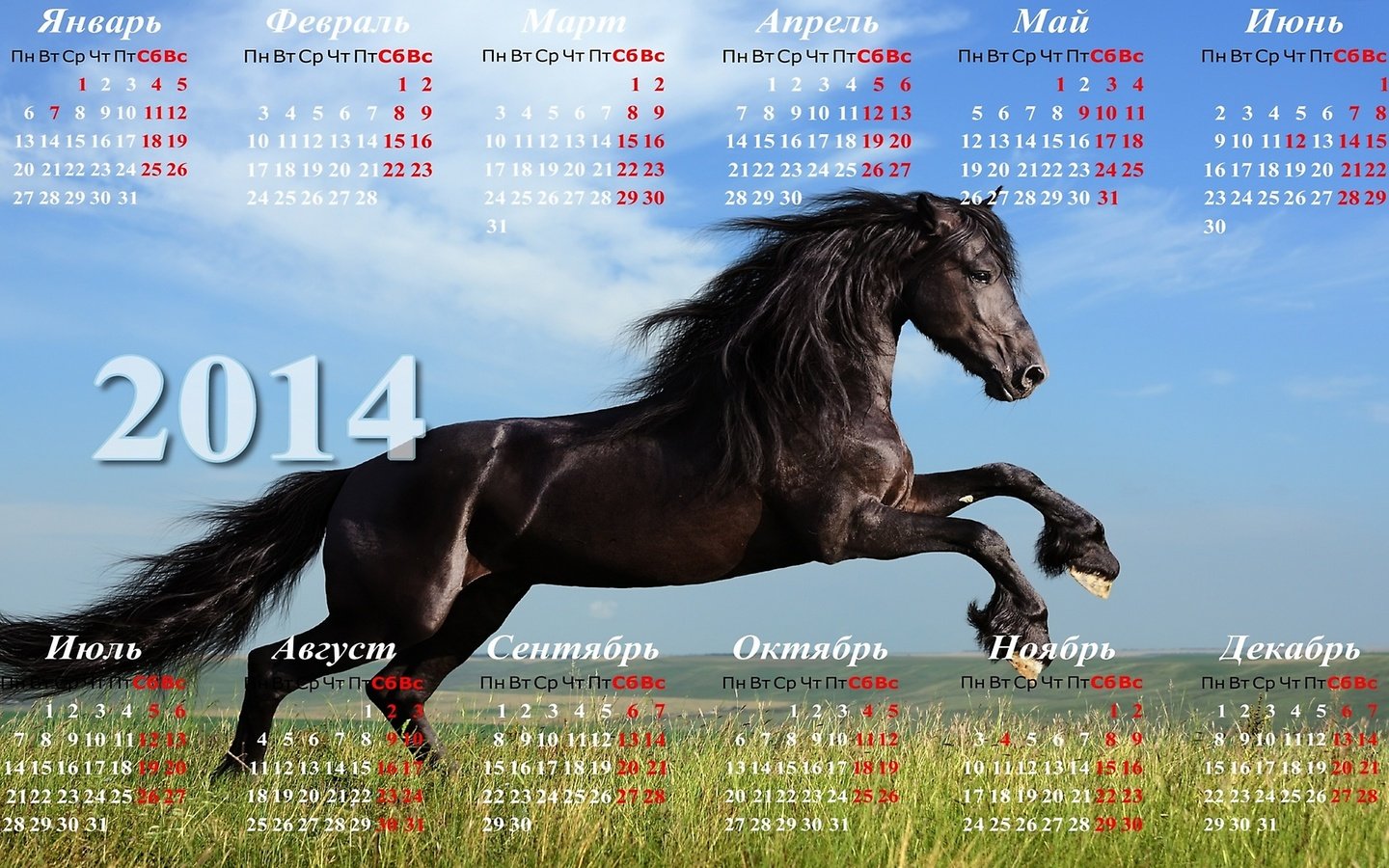 Обои календарь 2014 с лошадью, calendar 2014 with horse разрешение 2560x1440 Загрузить