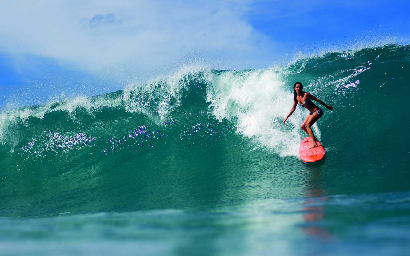 Обои девушка, серфинг, girl, surfing разрешение 1920x1080 Загрузить