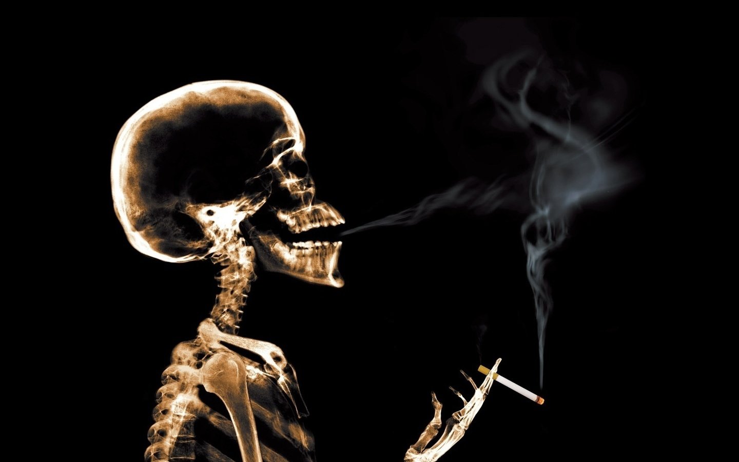 Обои дым, рентген, сигарета, скелет, smoke, x-ray, cigarette, skeleton разрешение 1920x1080 Загрузить