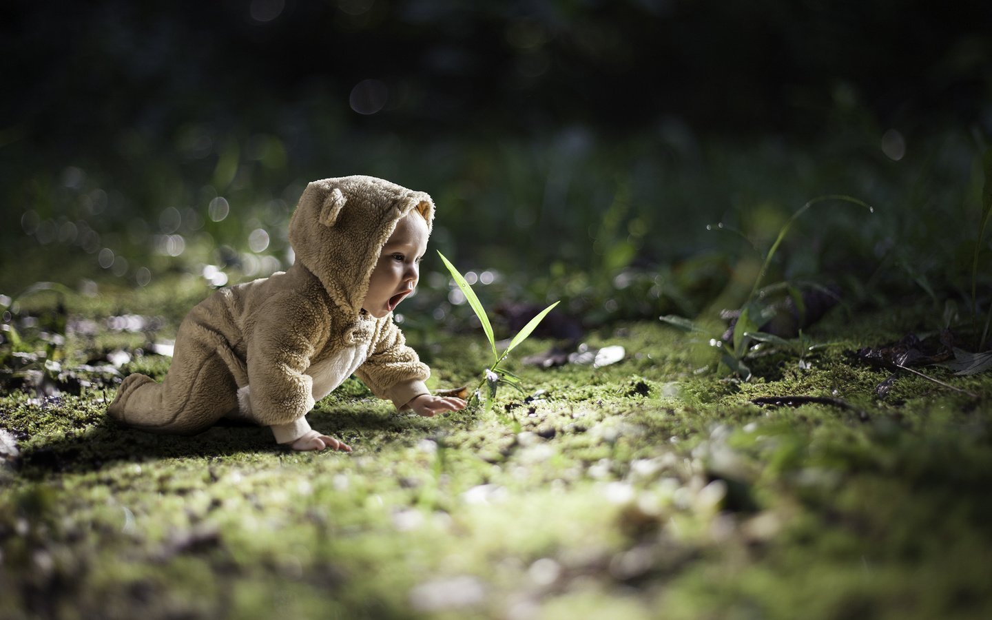 Обои природа, ребенок, малыш, nature, child, baby разрешение 1920x1080 Загрузить