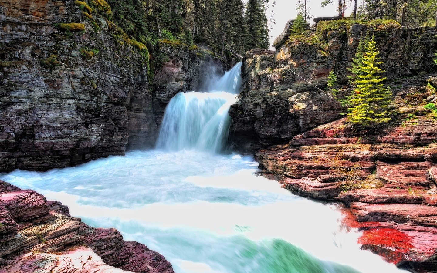 Обои деревья, река, водопад, скалв, национальный парк глейшер, trees, river, waterfall, scal, glacier national park разрешение 2560x1600 Загрузить