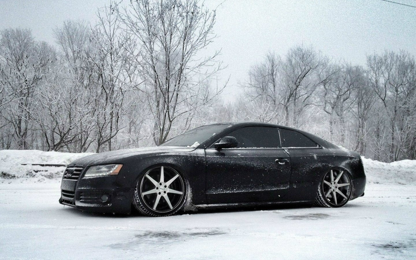 Обои снег, зима, ауди, тюнинг, диски, audi s5, snow, winter, audi, tuning, drives разрешение 1920x1080 Загрузить