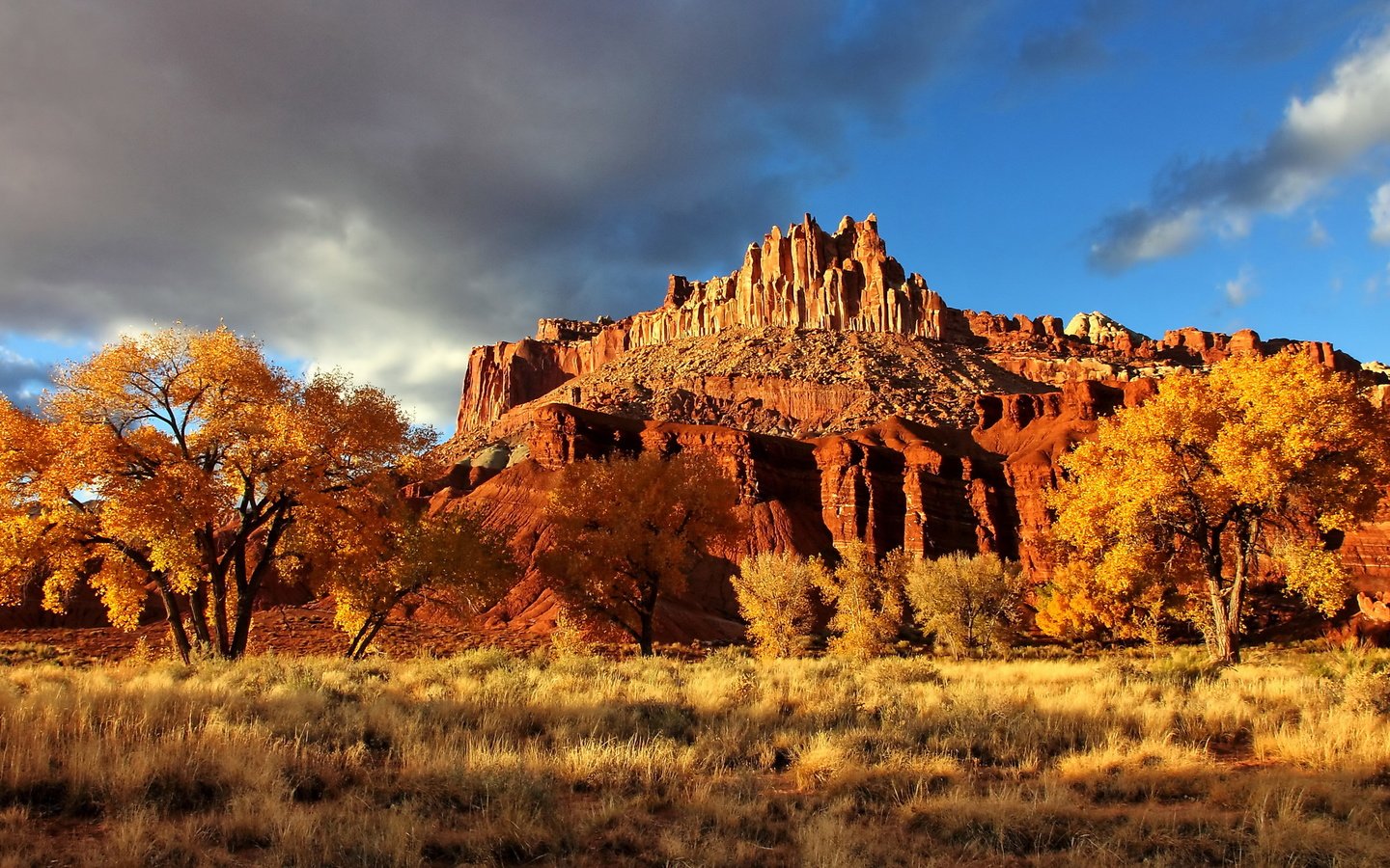 Обои скала, осень, каньон, сша, национальный парк, капитол-риф, capitol reef national park, осенний пейзаж, rock, autumn, canyon, usa, national park, capitol reef разрешение 2560x1600 Загрузить