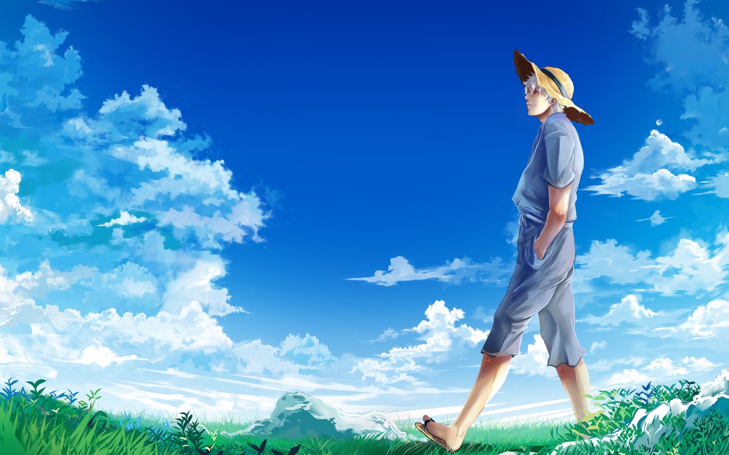 Обои небо, облака, парень, луг, шляпа, sakata gintoki, гинтама, the sky, clouds, guy, meadow, hat, gintama разрешение 2560x1600 Загрузить