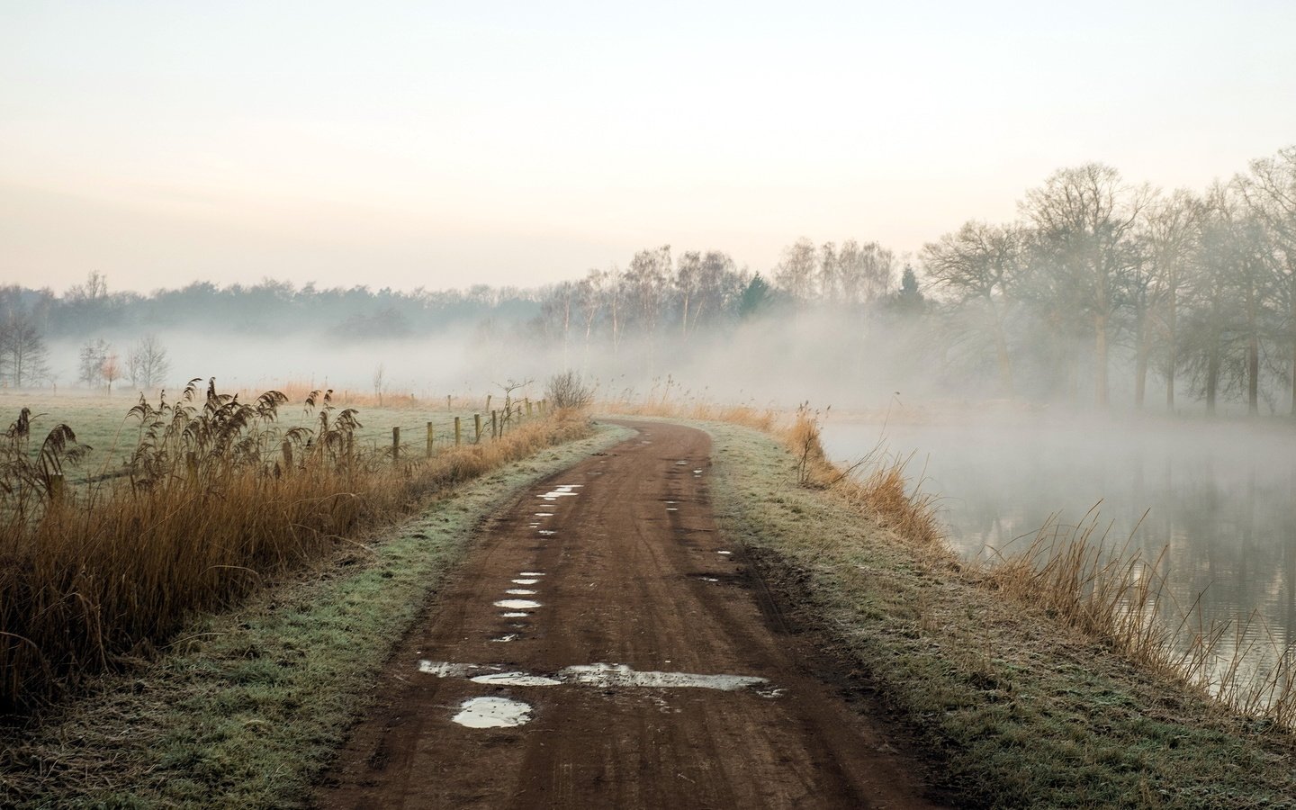 Обои дорога, река, природа, пейзаж, утро, туман, road, river, nature, landscape, morning, fog разрешение 2048x1365 Загрузить