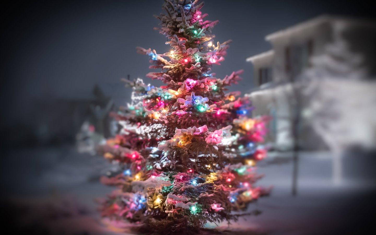 Обои огни, снег, новый год, елка, зима, гирлянда, lights, snow, new year, tree, winter, garland разрешение 4555x3036 Загрузить