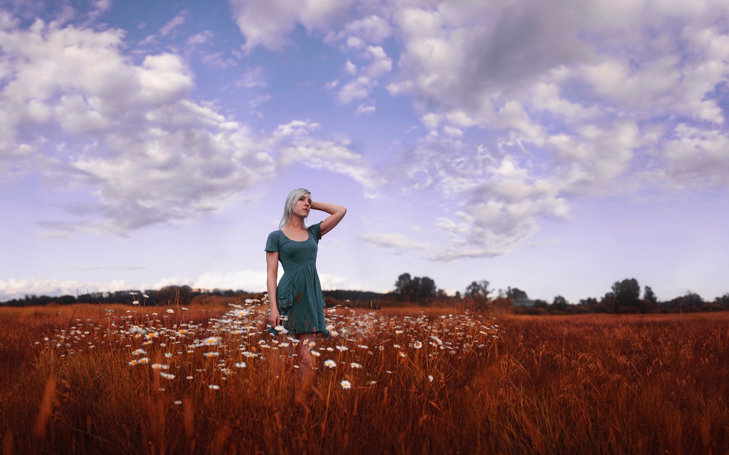 Обои цветы, девушка, блондинка, поле, flowers, girl, blonde, field разрешение 2048x1249 Загрузить