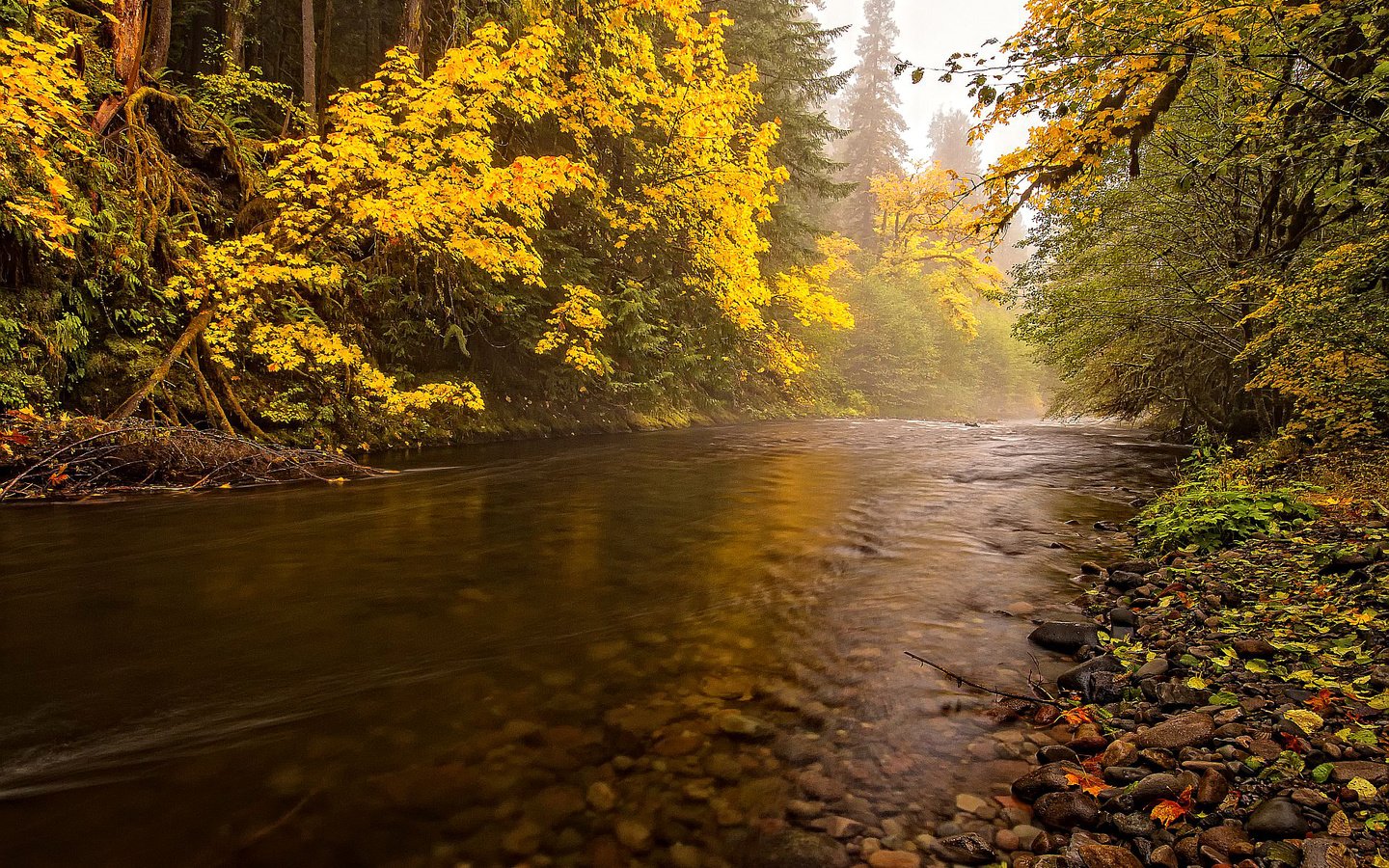 Обои деревья, река, пейзаж, осень, trees, river, landscape, autumn разрешение 1920x1536 Загрузить