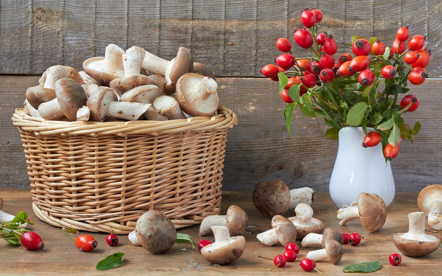 Обои грибы, шиповник, корзина, боярышник, mushrooms, briar, basket, hawthorn разрешение 3600x2400 Загрузить