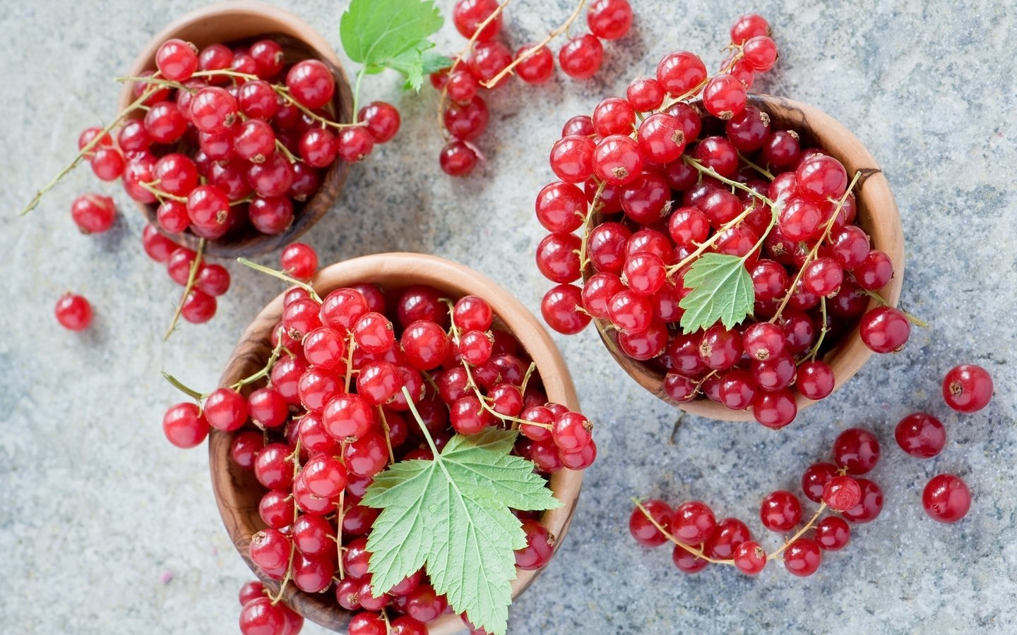 Обои ягода, красная, смородина, миски, berry, red, currants, bowls разрешение 2000x1377 Загрузить