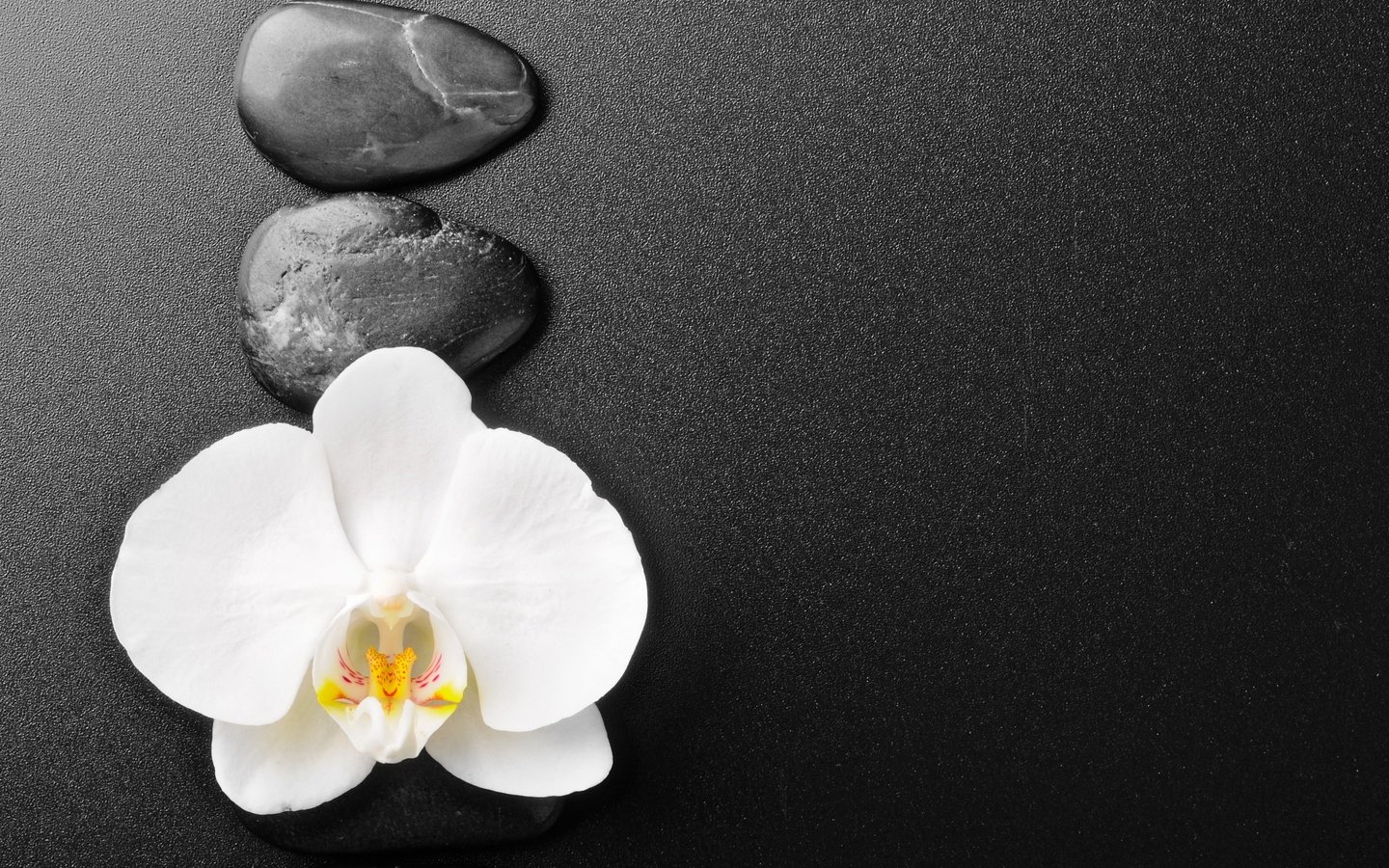 Обои камни, фон, цветок, орхидея, stones, background, flower, orchid разрешение 3000x1927 Загрузить