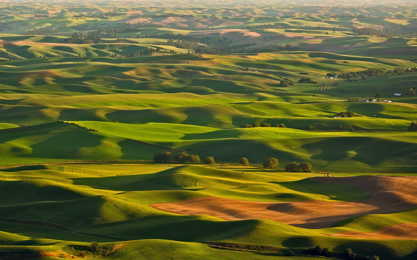 Обои холмы, природа, поле, италия, hills, nature, field, italy разрешение 2048x1365 Загрузить