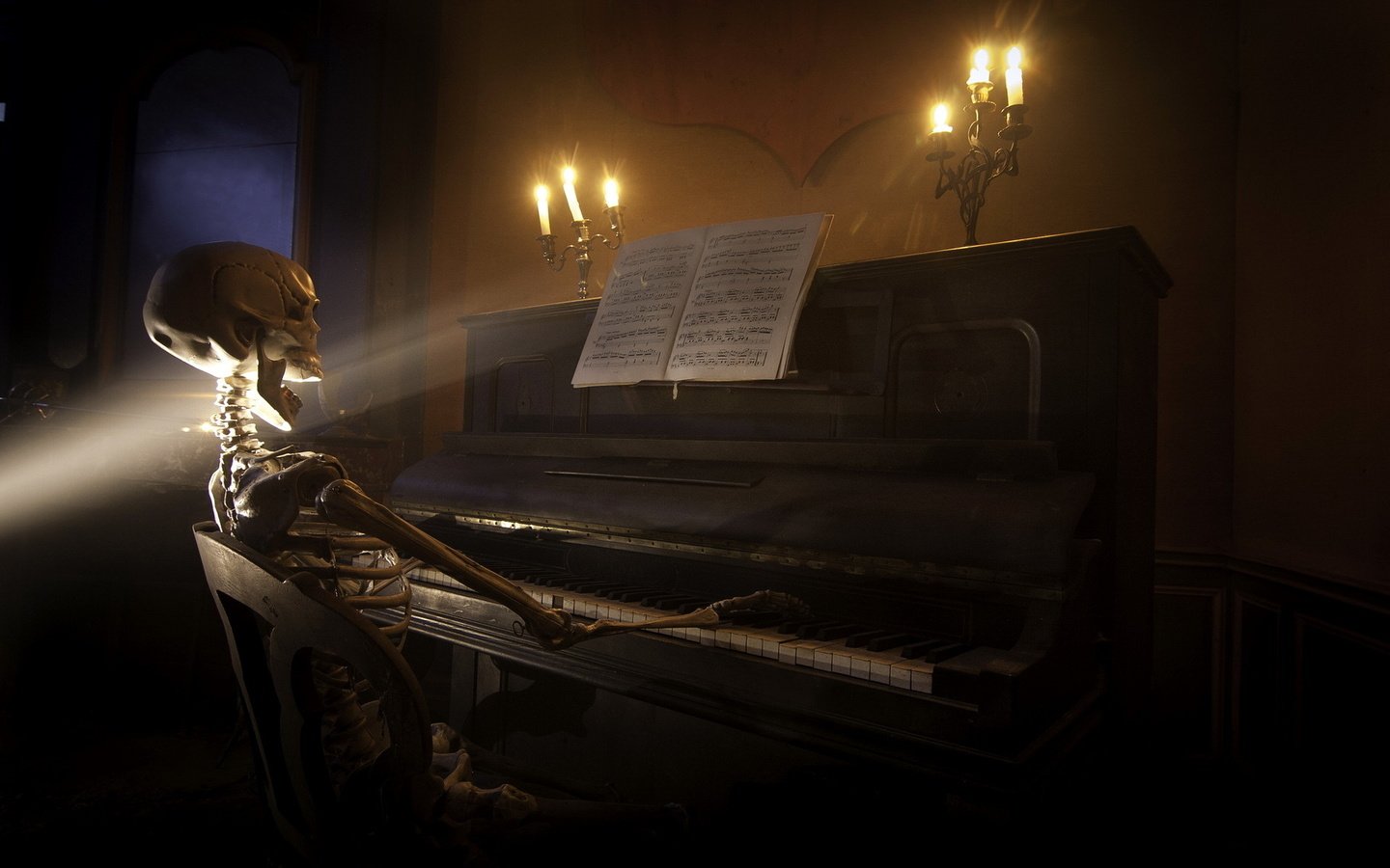 Обои музыка, пианино, скелет, music, piano, skeleton разрешение 1920x1200 Загрузить