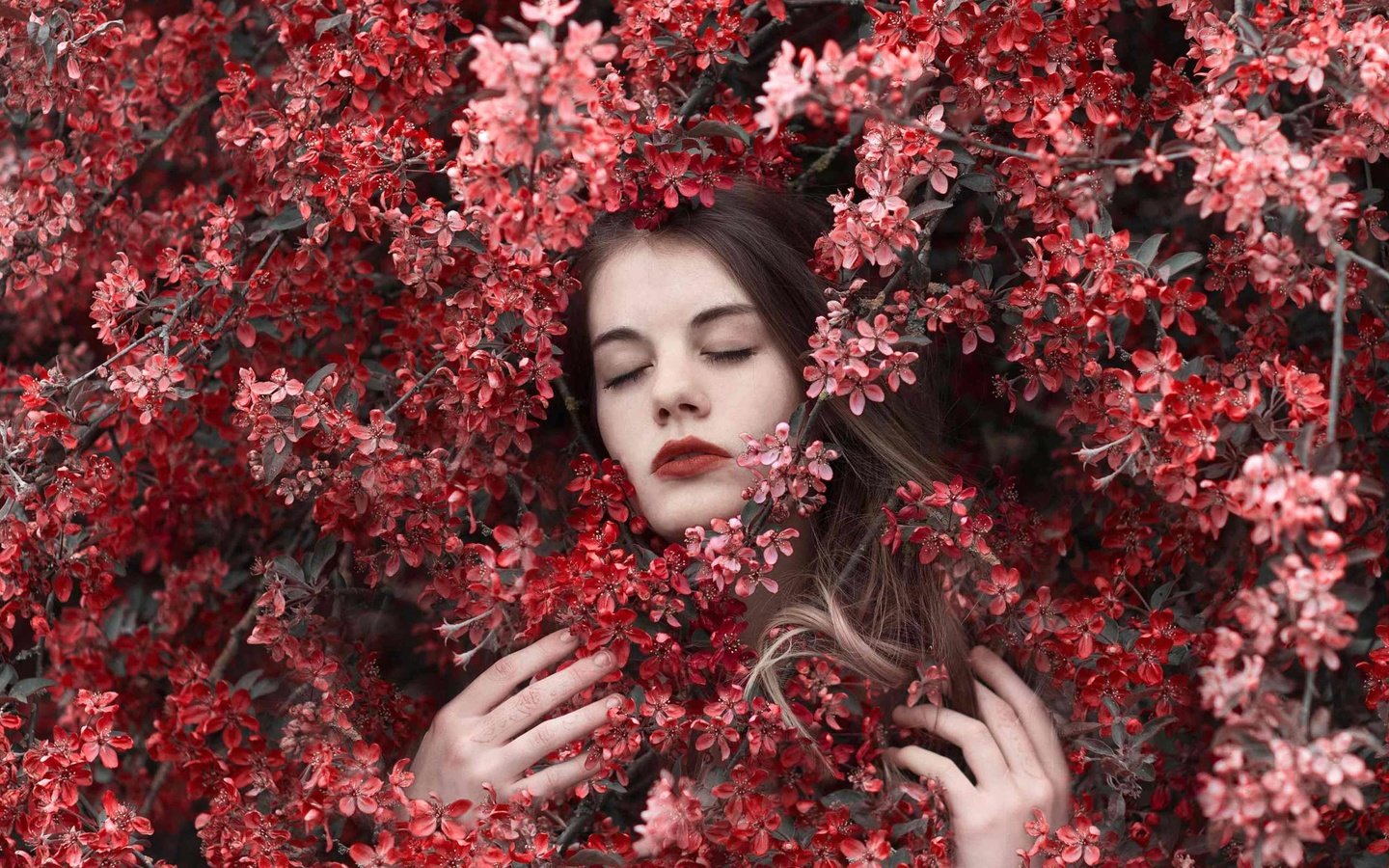 Обои цветы, природа, девушка, модель, весна, лицо, закрытые глаза, flowers, nature, girl, model, spring, face, closed eyes разрешение 2560x1600 Загрузить