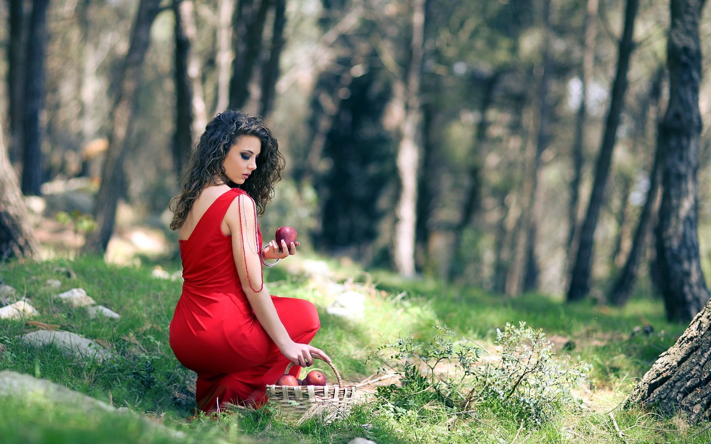 Обои лес, девушка, платье, брюнетка, яблоки, красное, forest, girl, dress, brunette, apples, red разрешение 2560x1600 Загрузить