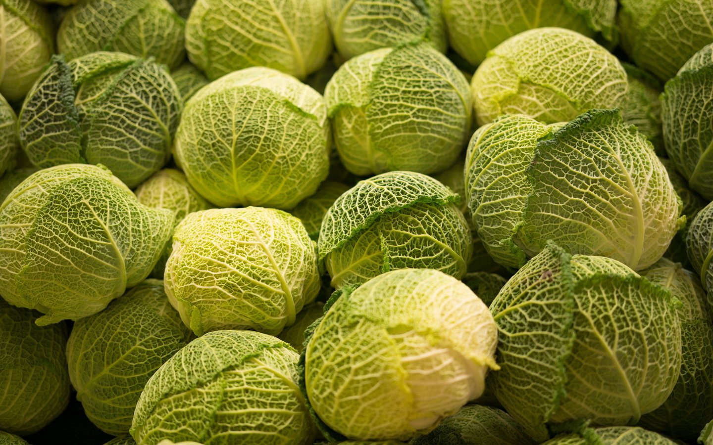 Обои фон, овощи, капуста, background, vegetables, cabbage разрешение 2560x1710 Загрузить