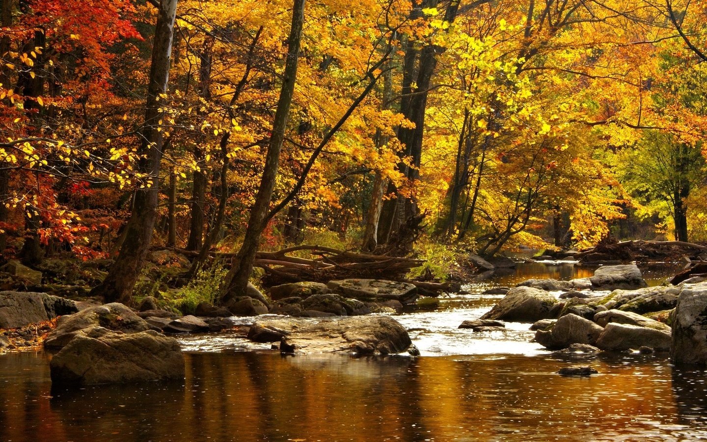 Обои деревья, вода, река, горы, природа, камни, лес, осень, trees, water, river, mountains, nature, stones, forest, autumn разрешение 1920x1200 Загрузить