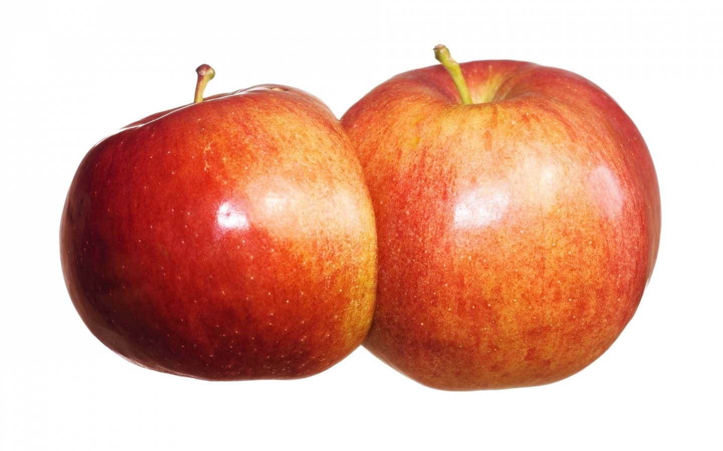 Обои фрукты, яблоки, красные, белый фон, плоды, спелые, fruit, apples, red, white background, ripe разрешение 1920x1280 Загрузить